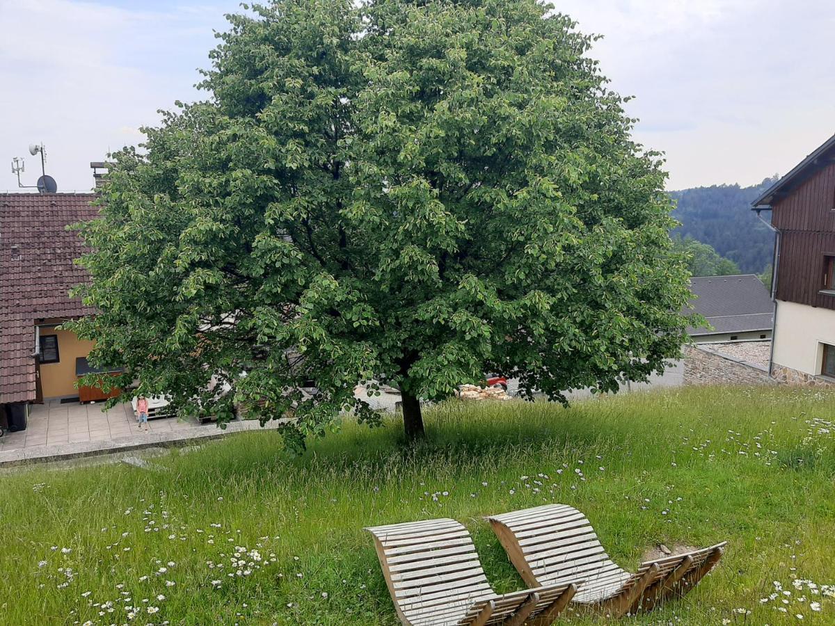 Na Budarce Paseky nad Jizerou Exterior foto